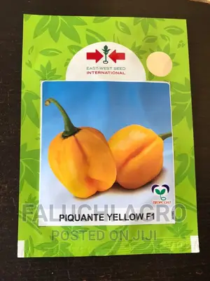 Hybrid Hot Yellow Pepper Seed (Piquante F1, 500 Seeds)
