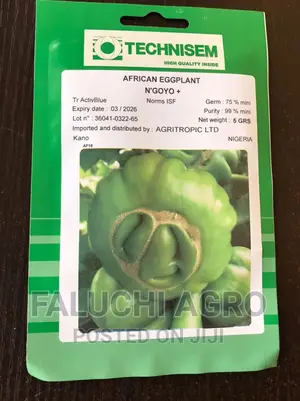 African Eggplant ( N'GOYO+)