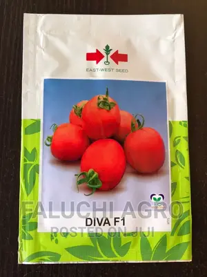 Hybrid Tomato Seed ( Diva F1 )