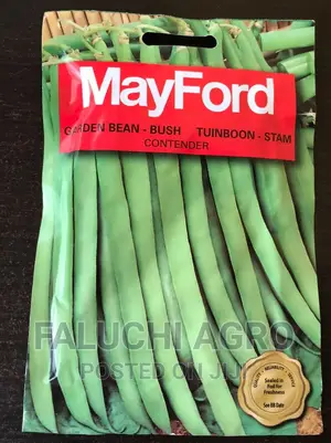 Green Beans Seed
