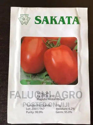 Tomato Seed ( Rio Grande - 10g )