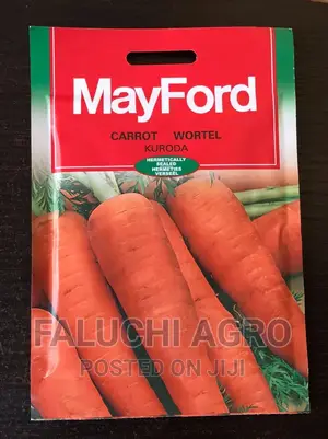 Carrot Seeds