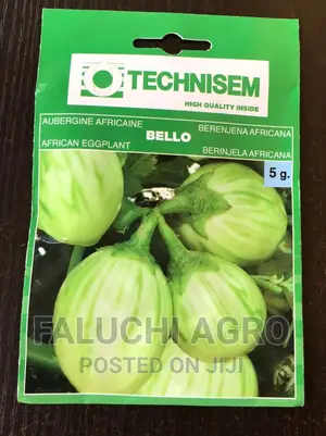 Garden Egg Seeds (Bello)