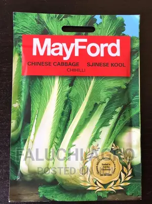 Chinese Cabbage