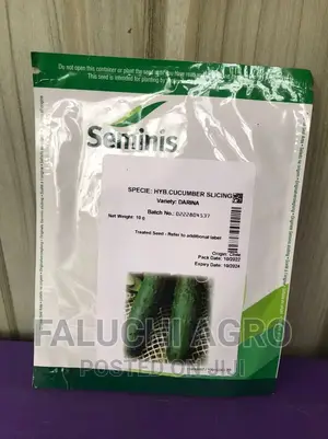 Hybrid Cucumber Seed ( Darina F1 - 10g )