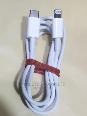 Original iPhone Type C Cable