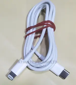 Original iPhone Type C Cable