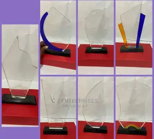 Acrylic Award Plaque All Shape