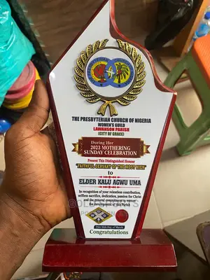 Neat Wooden Award M16