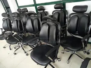 Imported Ergonomic Office Chairs