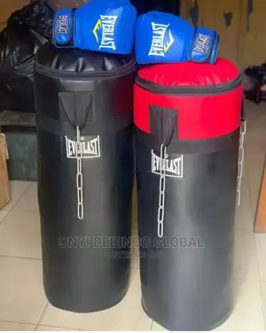 Punching Bag and Boxing Gloves
