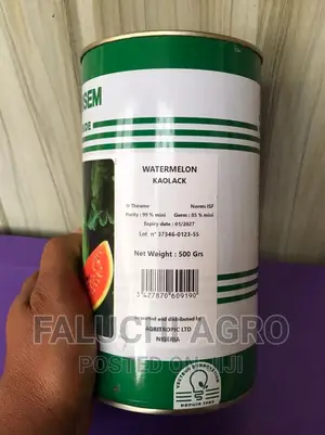 Watermelon Seed ( Kaolack 500g)