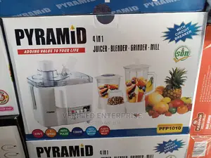4 in 1 Juicer and Blender