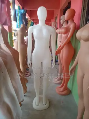 Plastic Female Mannequin With Arms- White