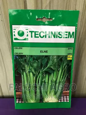 Celery Seeds ( Elna)
