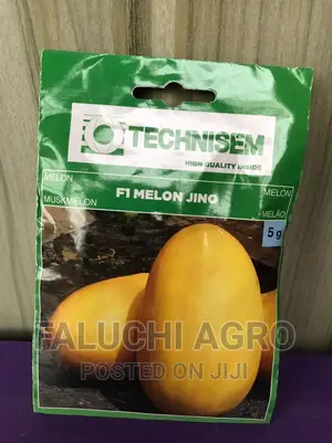 Hybrid Sweet Melon (F1 Melon Jino)