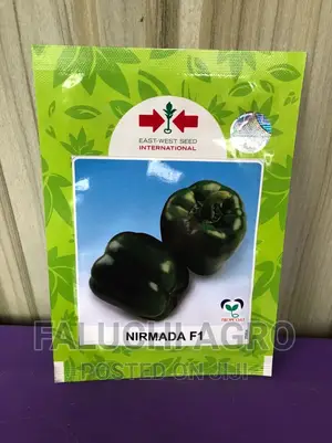 Hybrid Yellow Bell Pepper (Nirmada F1)