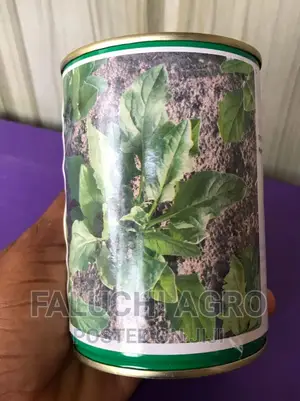 Hybrid Spinach Seeds (Oriental King F1)