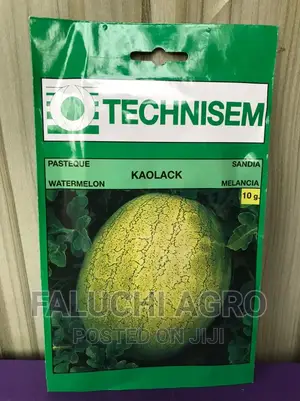 Watermelon Seeds (Kaolack)