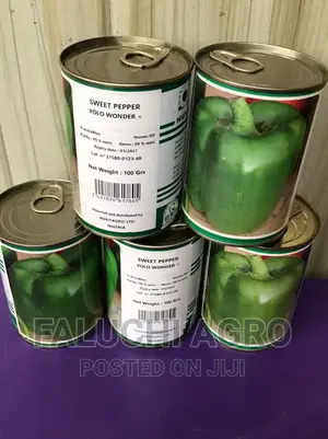 Hybrid Green Bell Pepper