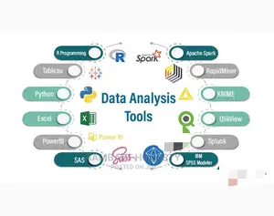 Data Analysis (R, Python, Tableau, Stata, SAS, Orange Etc)