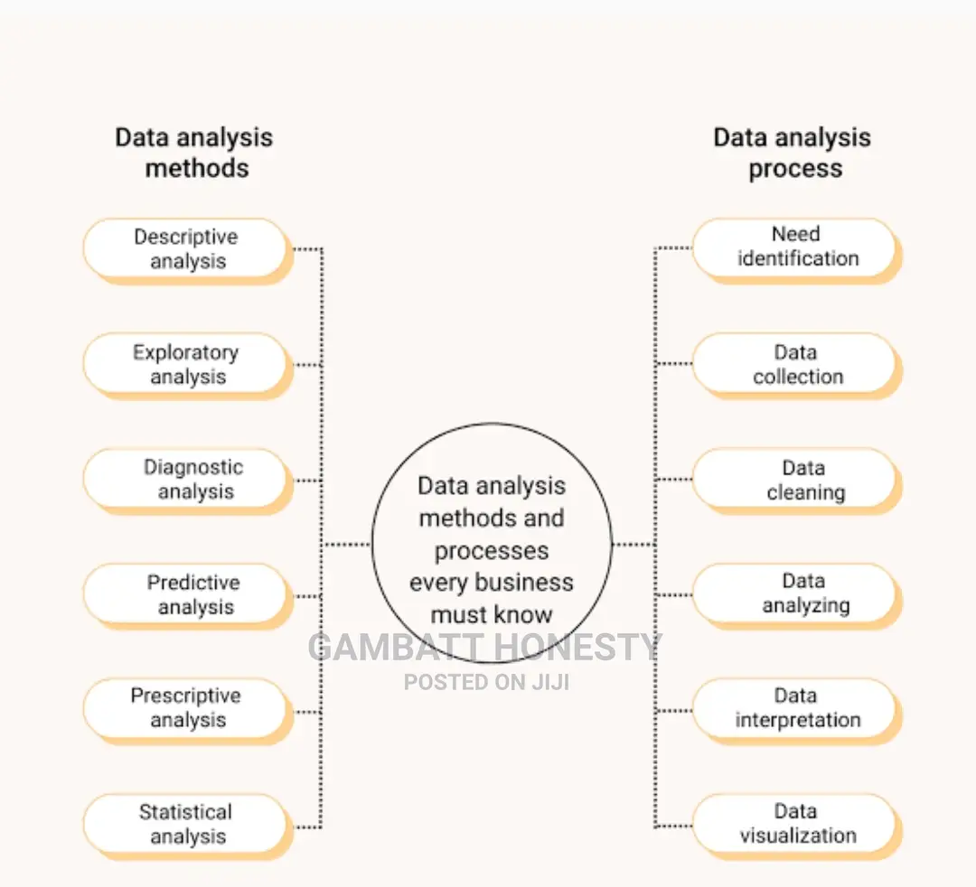 Data Analysis (R, Python, Tableau, Stata, SAS, Orange Etc)