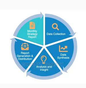 Data Analysis (R, Python, Tableau, Stata, SAS, Orange Etc)