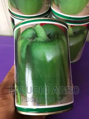 Hybrid Green Bell Pepper