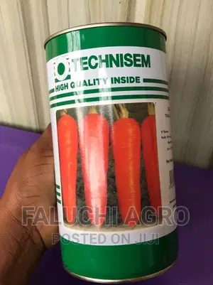 Carrot Seeds (Touchon Mega) 450g