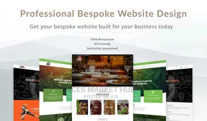 Website Design ( Web Design/ Development)
