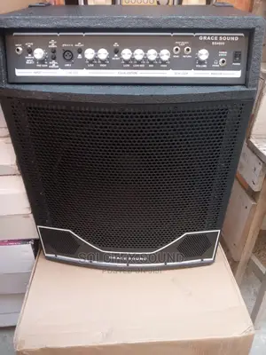 Original Grace Sound Bass Combo Speaker