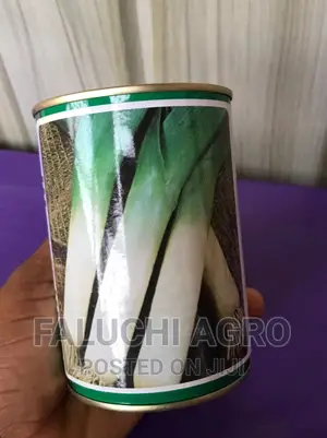 Leek Seeds (Large Long Summer 2) 100g