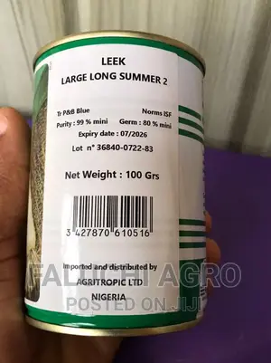 Leek Seeds (Large Long Summer 2) 100g