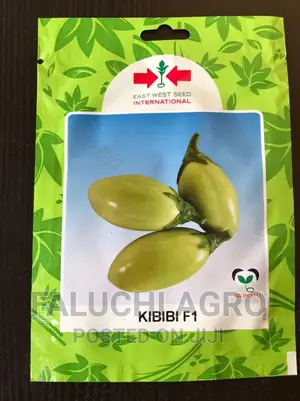 Hybrid Garden Egg Seeds (Kibibi F1)