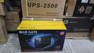 Blue Gate UPS Bg2500 2.5kva