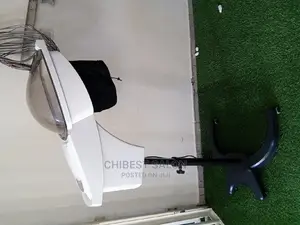 Big New Model Hair Steamer