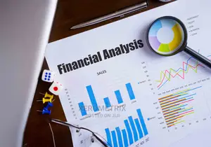 Financial Ratio Analysis Services