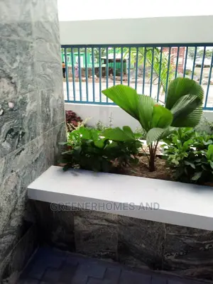 Outdoor Plants