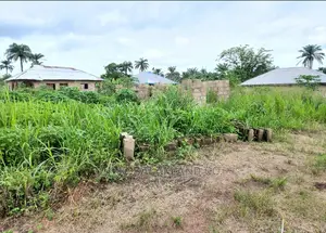 Layout Plot of Land at Ijaye Along Moniya Ibadan