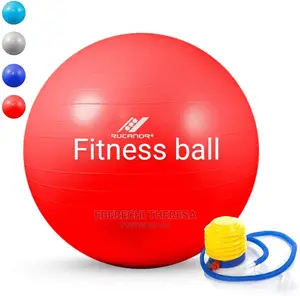 Gymnastics Fitness Ball