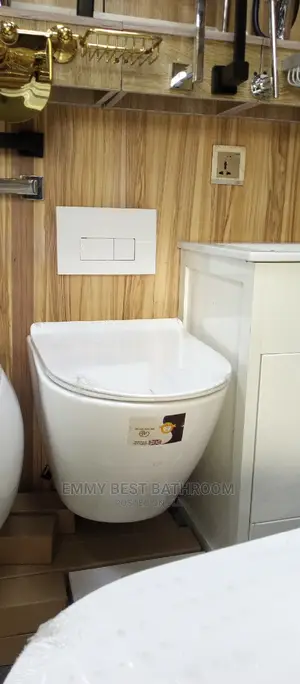 Best England Wall Hung Wc