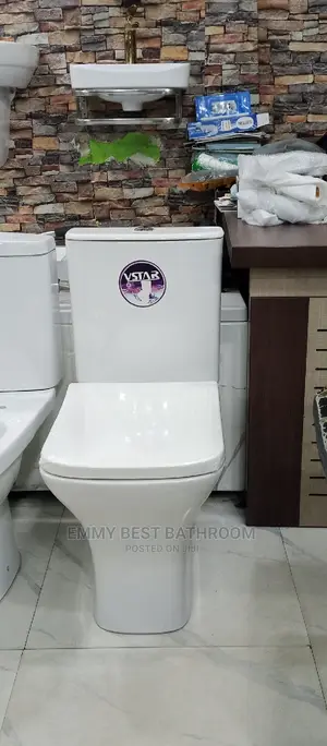 Vstar Wc Set With the Wash Hand Basin