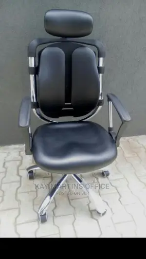 Quality Executive Director Kidney Chair With Lumber Supports