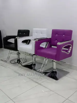 Quality Executive Saloon Chair With Adjustable Control