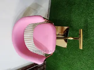 New Gold Model Stylist Chair