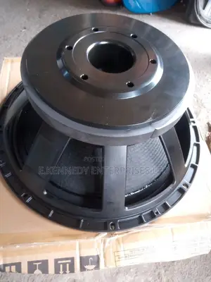 (125/5incoil) Big Magnet 18 Inches Stock Naked Speaker