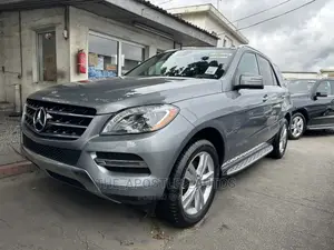Mercedes-Benz M Class 2015 Gray