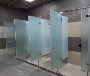Toilet Tempered Glass