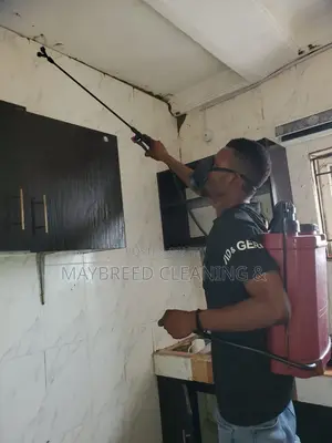 Fumigation Service