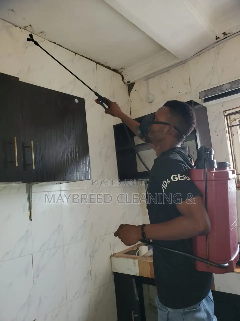 Fumigation Service